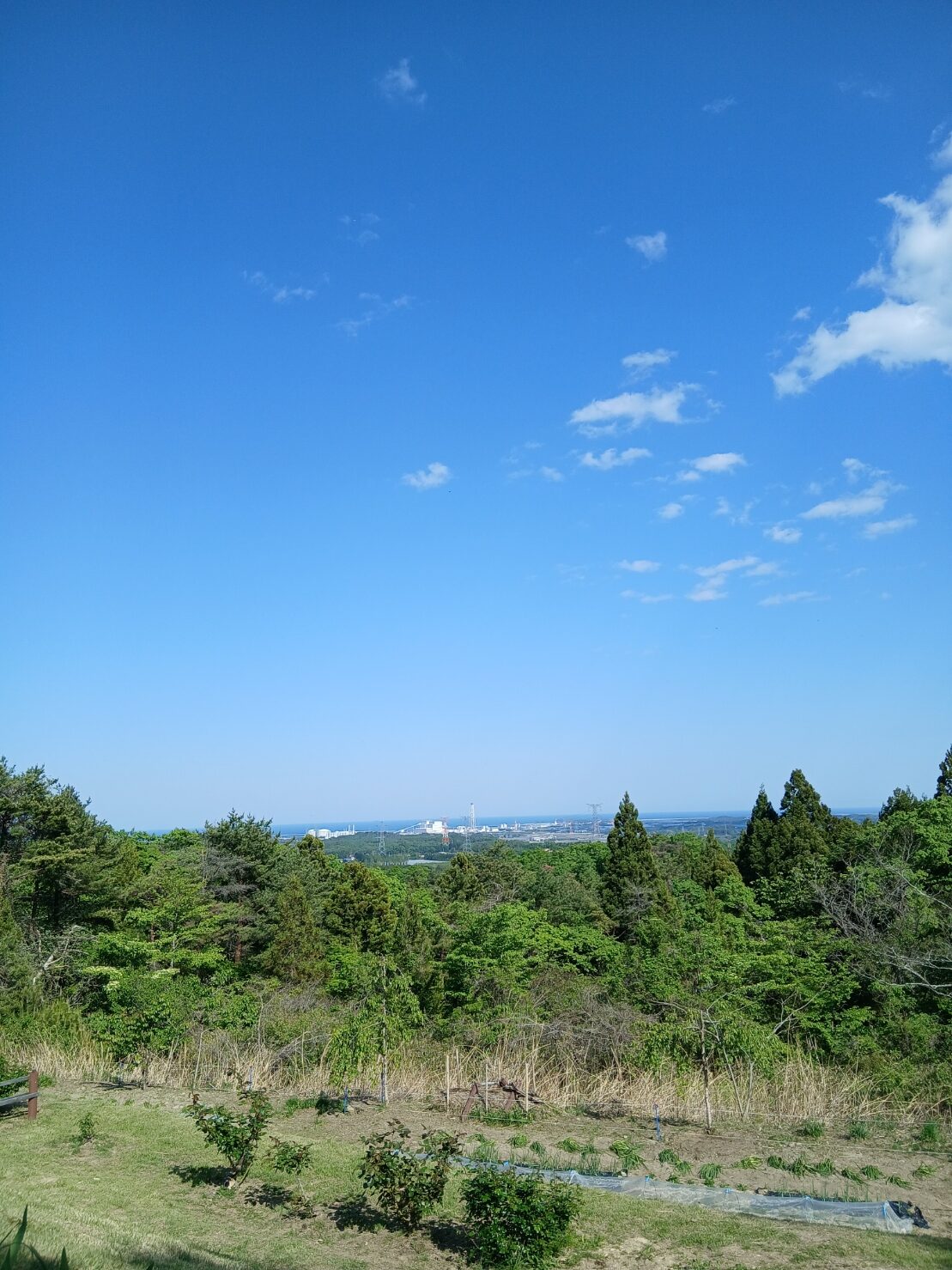 まぁるの庭